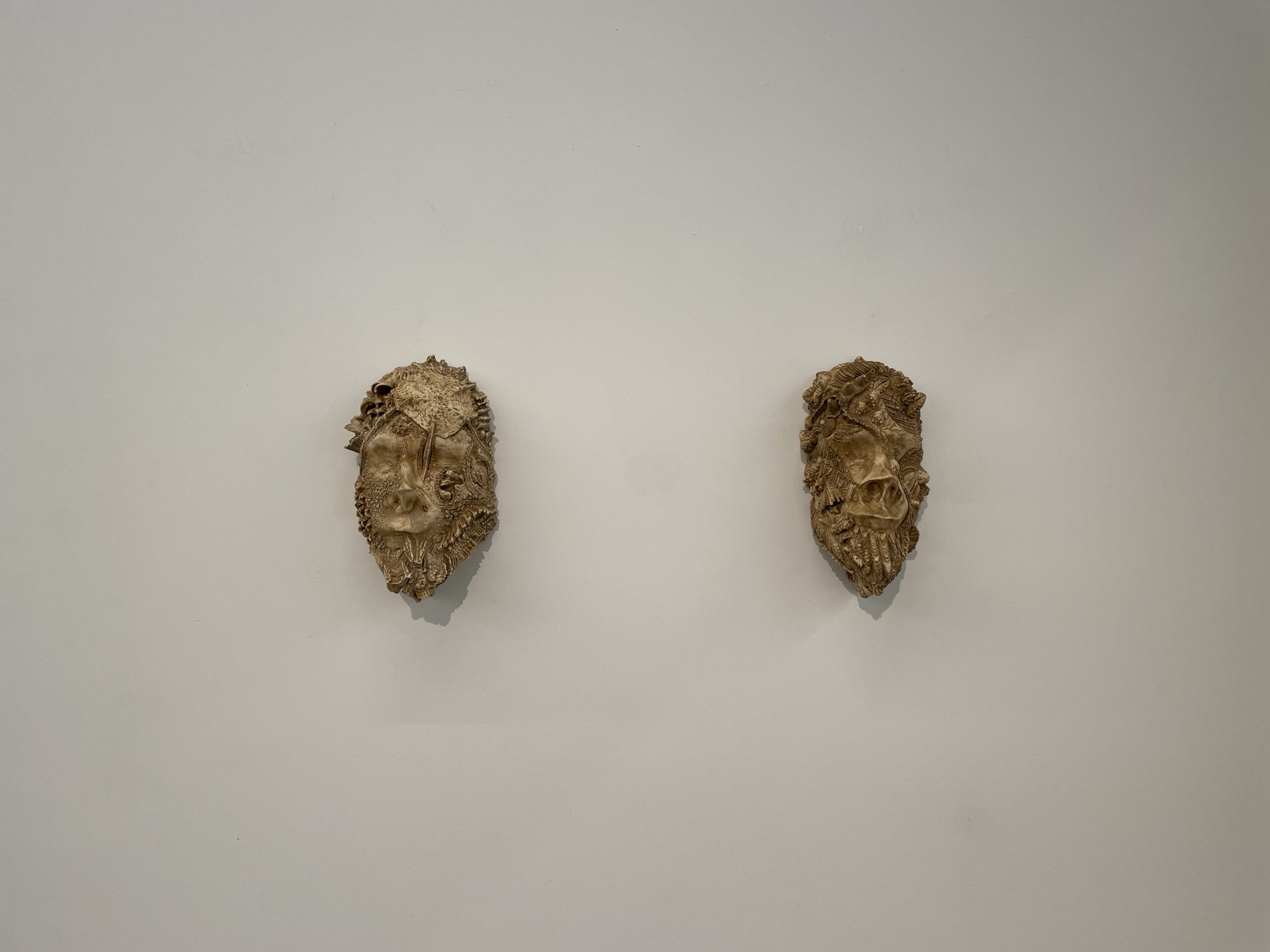 New Treasures: Ruben Jager