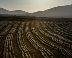 Bo Scheeringa, Machine gestoken turf, Ballycroy, County Mayo