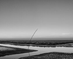 Siebe Swart, Noordpolderzijl, februari 2019