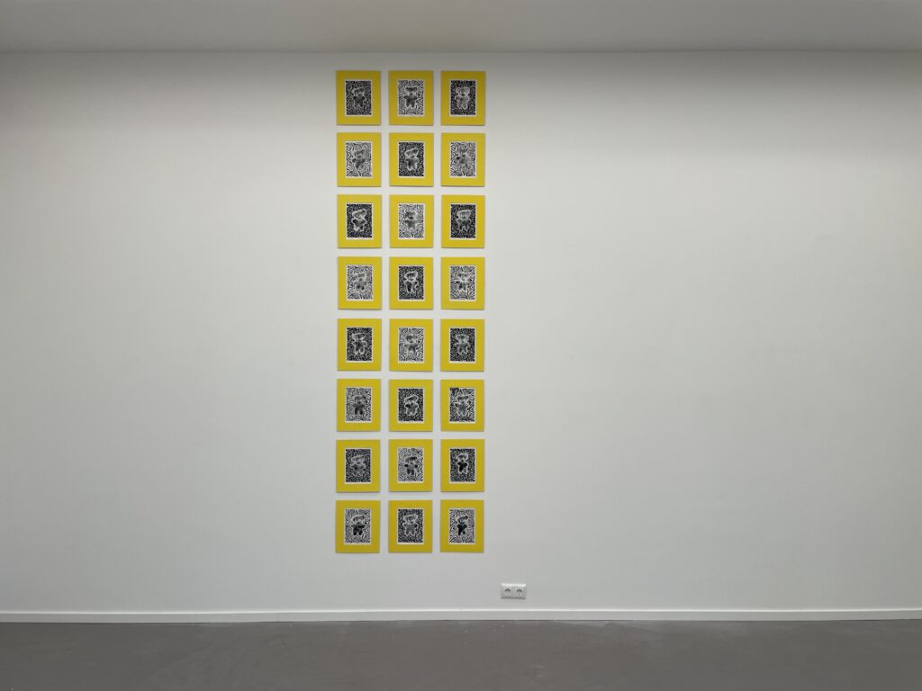New Treasures: Sven ten Berge